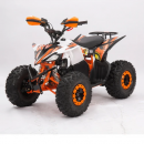 PSP.ATV002.POM