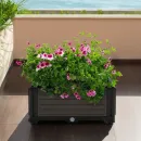 arrangement_flowers_cultivation_box_grow_cube_s_8226.webp