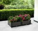 arrangement_flowers_cultivation_box_grow_cube_m_30a1.webp