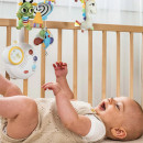 karuzela-klasyczna-born-to-party_29796_4.jpg